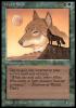 Wyluli Wolf a